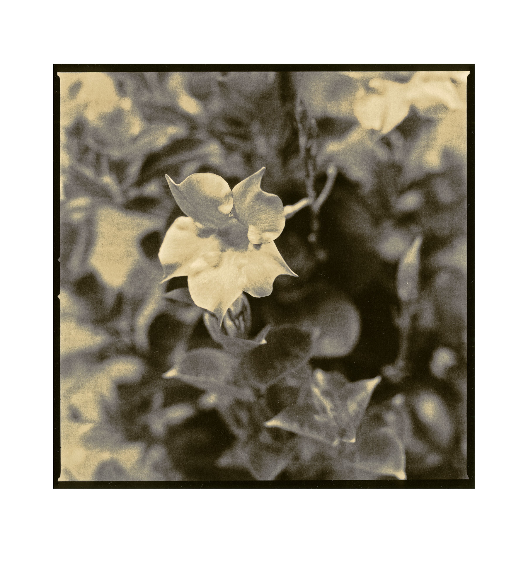 moersch-mt4-siena-schwefeltoner-polysulfid-warmton image 8