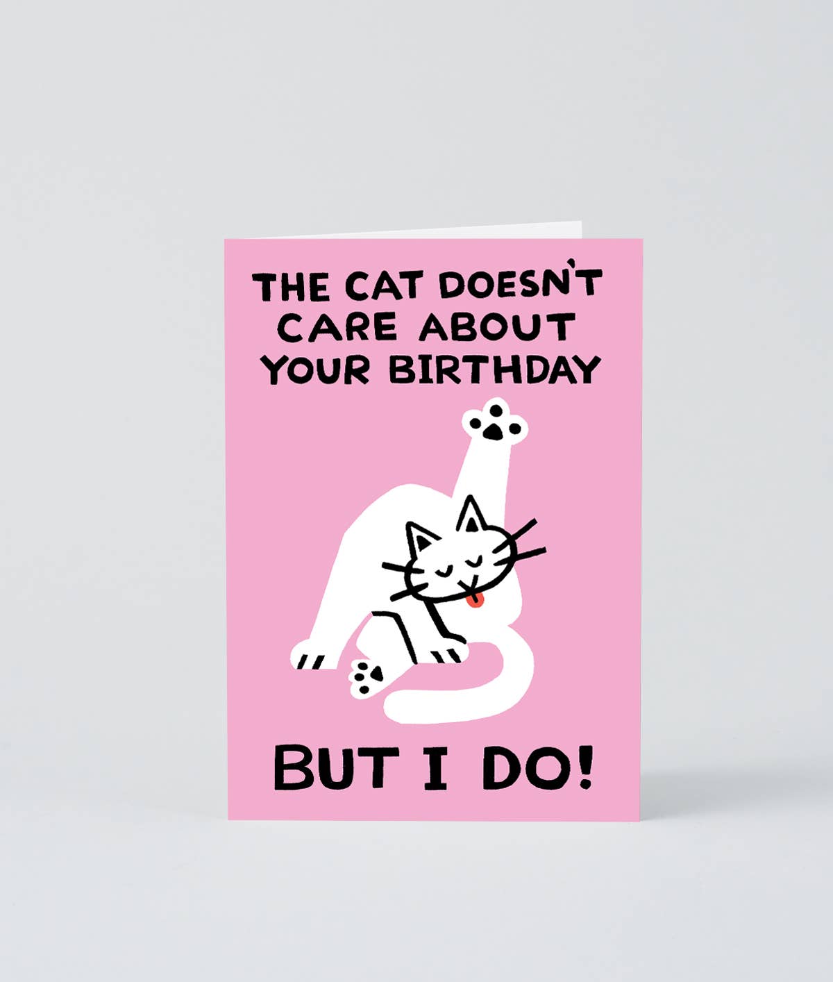 wrap-cat-doesn-t-care-gru-karte-pink-mit-umschlag image 2
