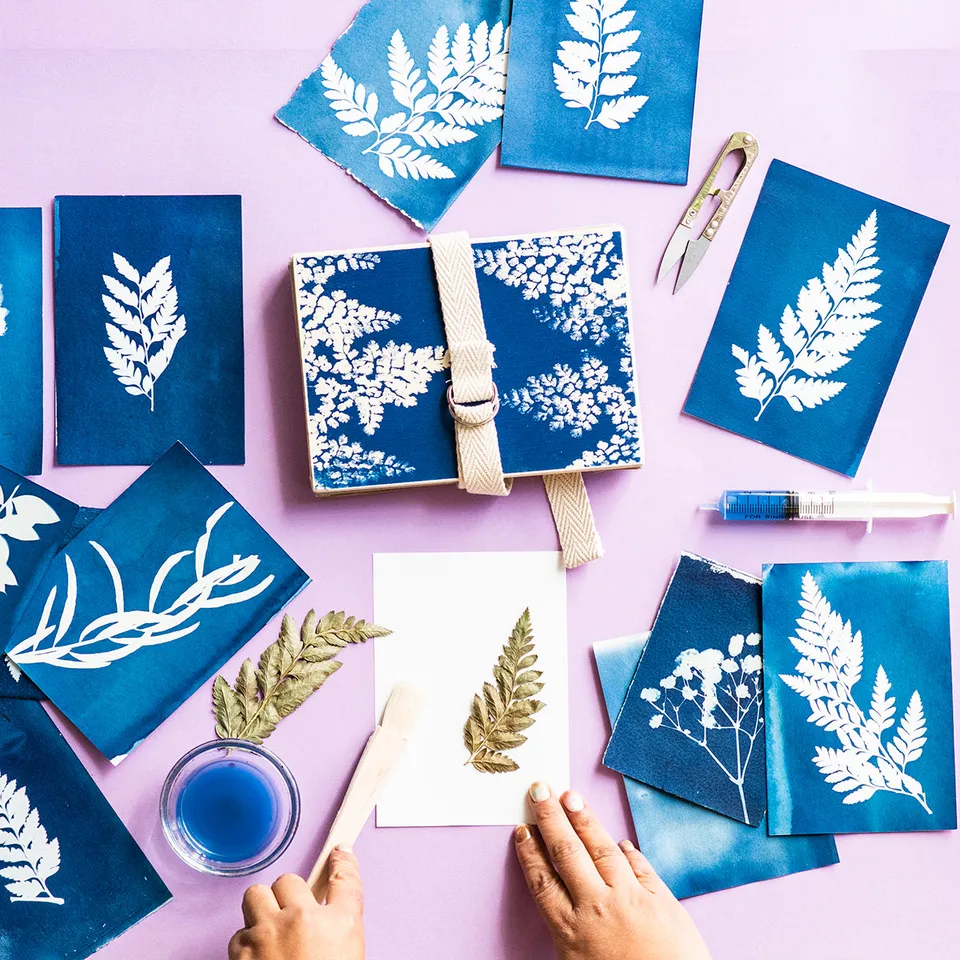 fabrica-de-texturas-botanic-cyanotype-kit-dunkelkammer-set image 1