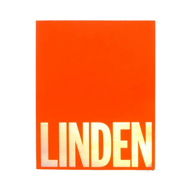 linden-archives-stuart-linden-rhodes-queer-fotobuch-90er-limitiert image 1