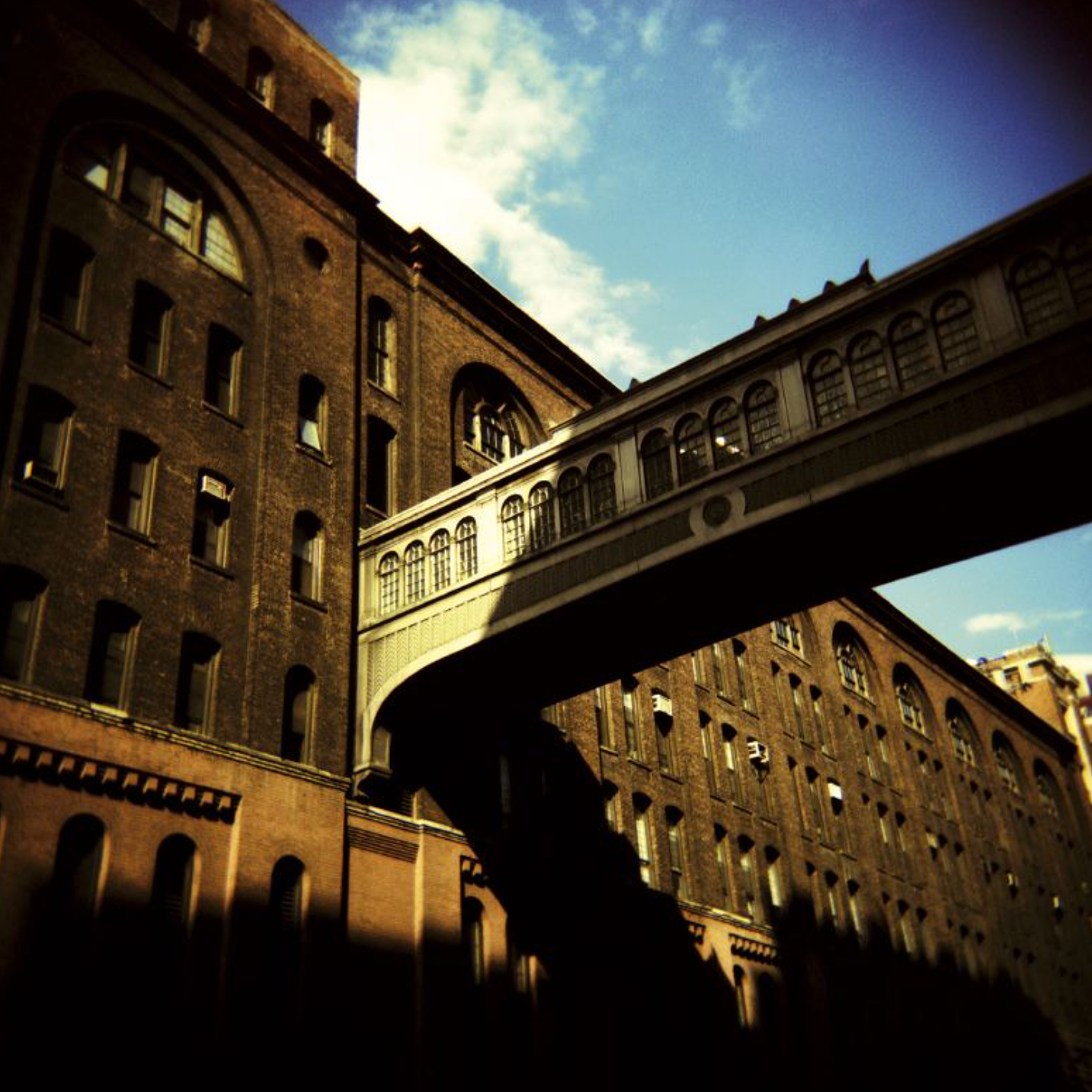 holga-120-gcfn-analogkamera-mittelformat-mit-blitz image 5