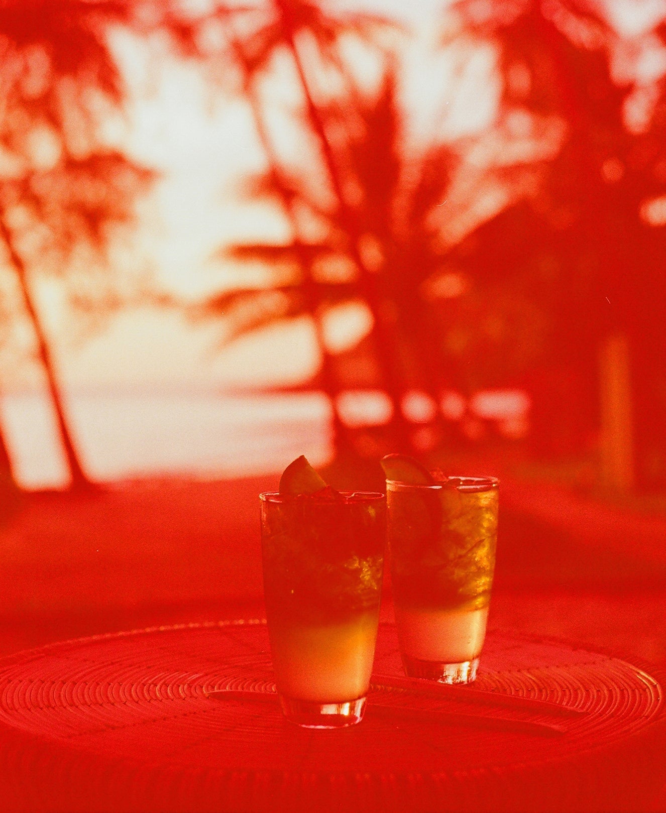 revolog-600nm-effektfilm-35mm-200-iso-36-bilder-rotstich image 3