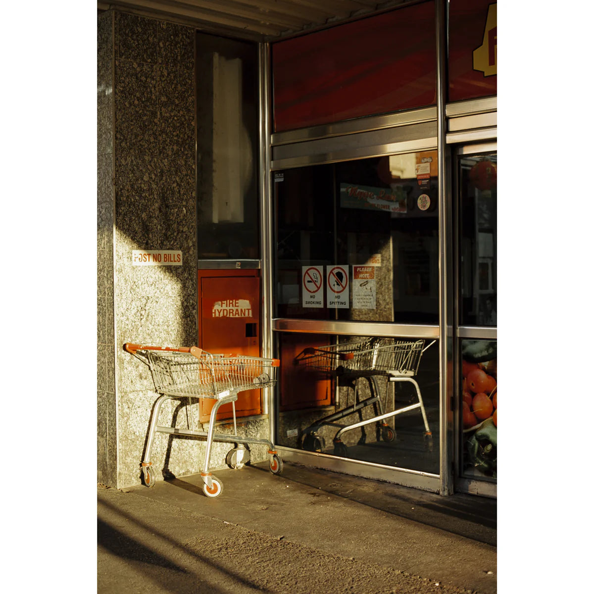 mr-negative-vision-3-50d-kleinbildfilm-35mm-36-iso-50 image 2