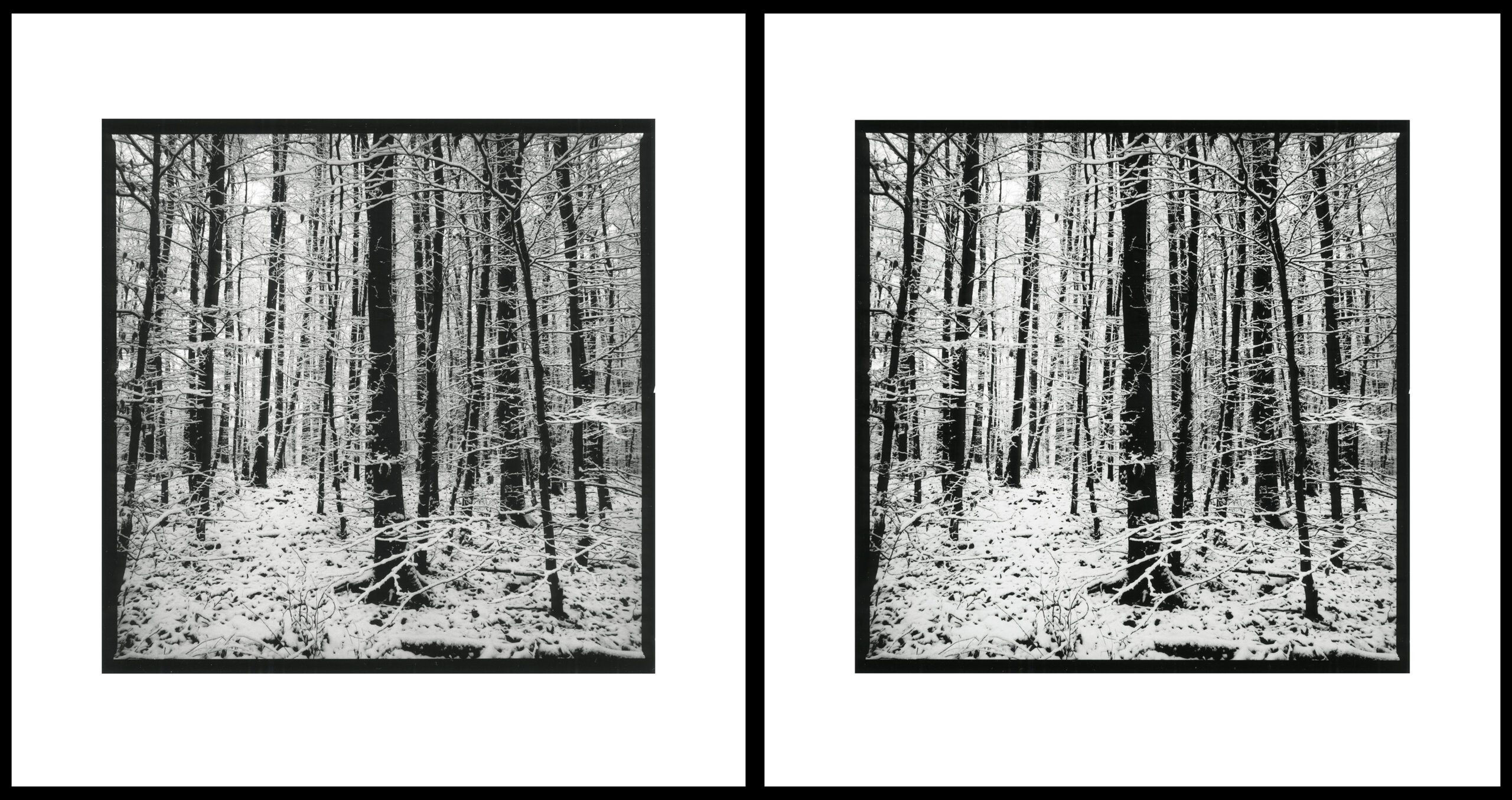 moersch-se-ecomol-papierentwickler-kontrastreich-1l-neutral image 5
