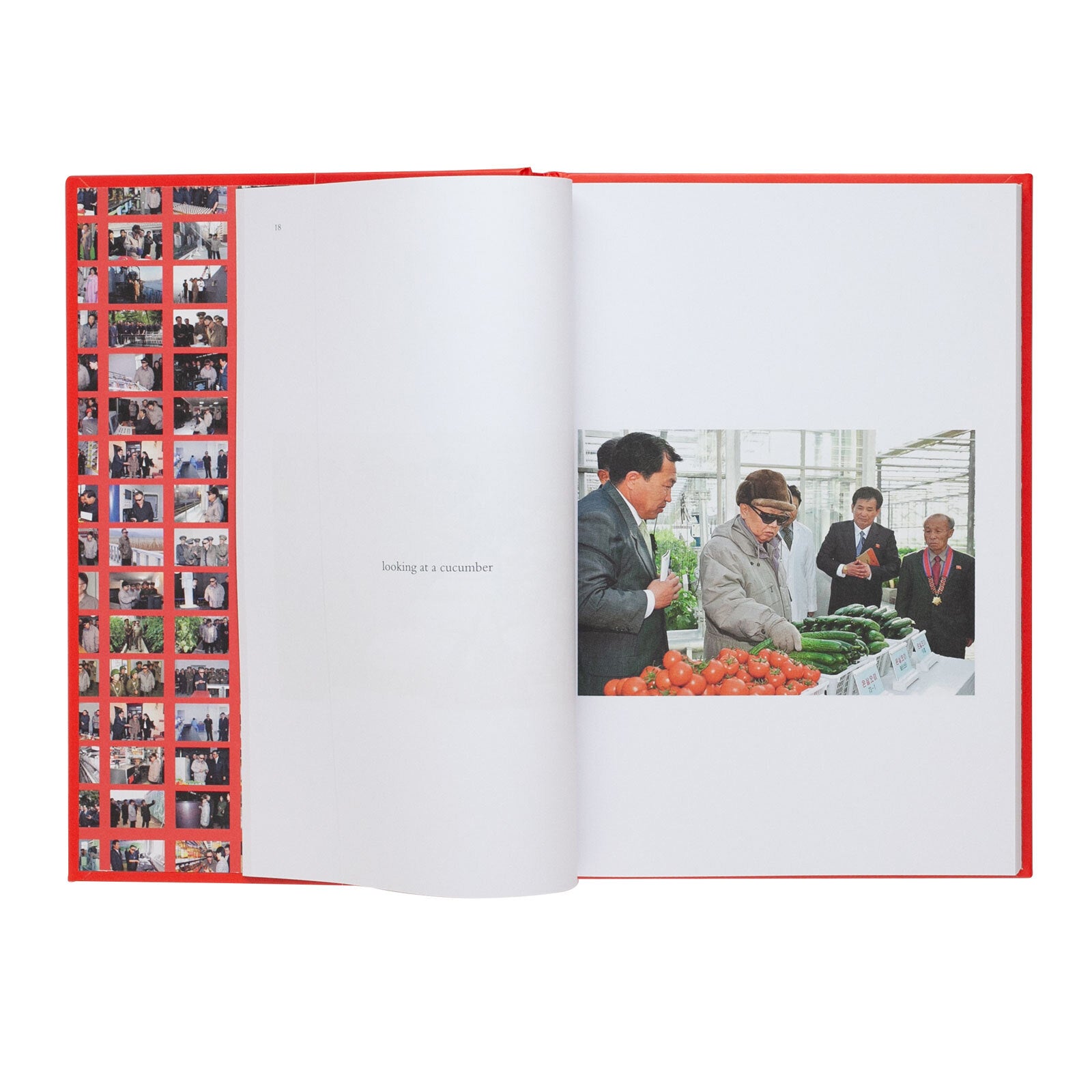 dubblefilm-kim-jong-il-looking-at-things-fotobuch-jo-o-rocha image 2
