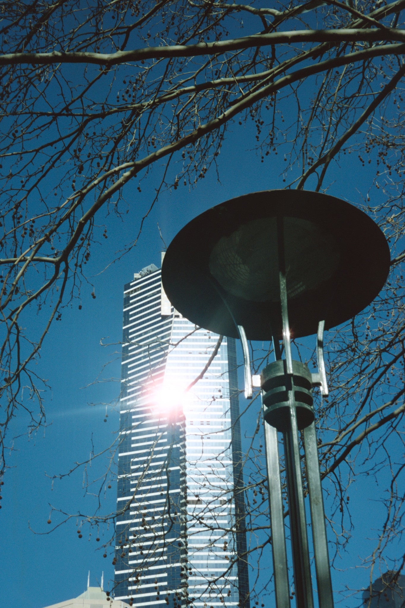 cinestill-50d-kleinbildfilm-35mm-36er-iso-50-tageslicht image 8
