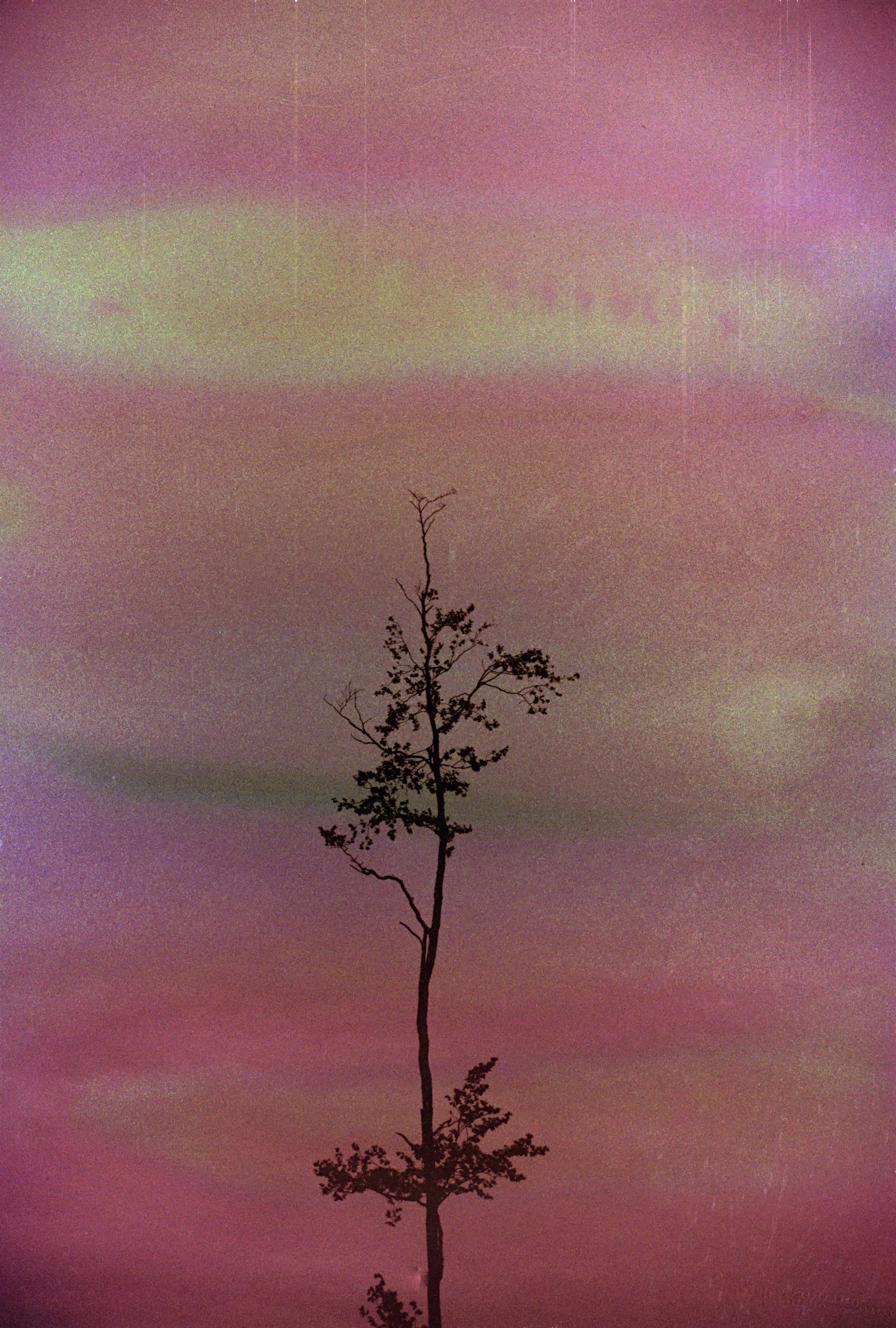 hanalogital-agate-35mm-effektfilm-36-aufnahmen-iso-200 image 5