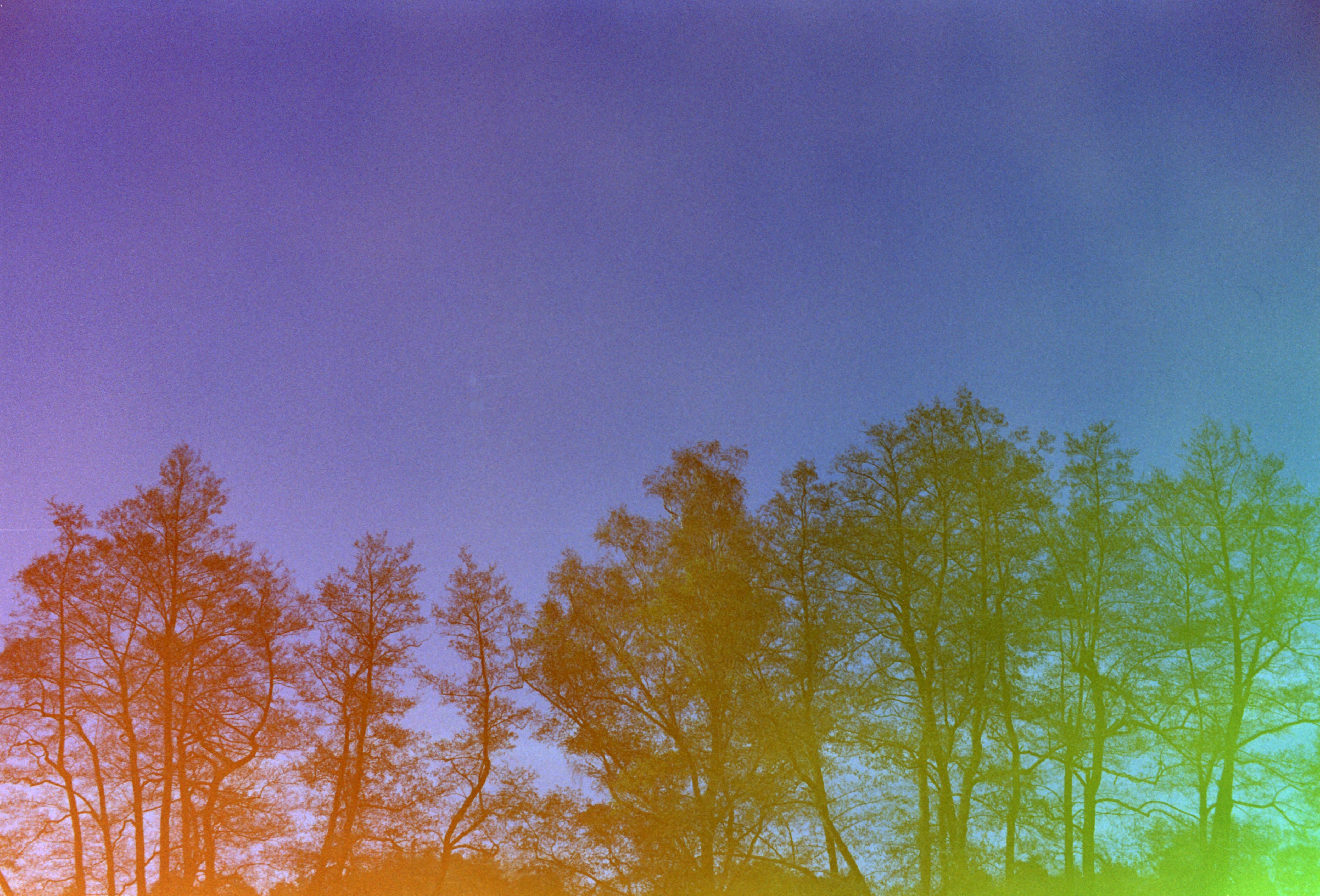 hanalogital-prism-35mm-experimentalfilm-vorbelichtet-prisma-effekt image 2