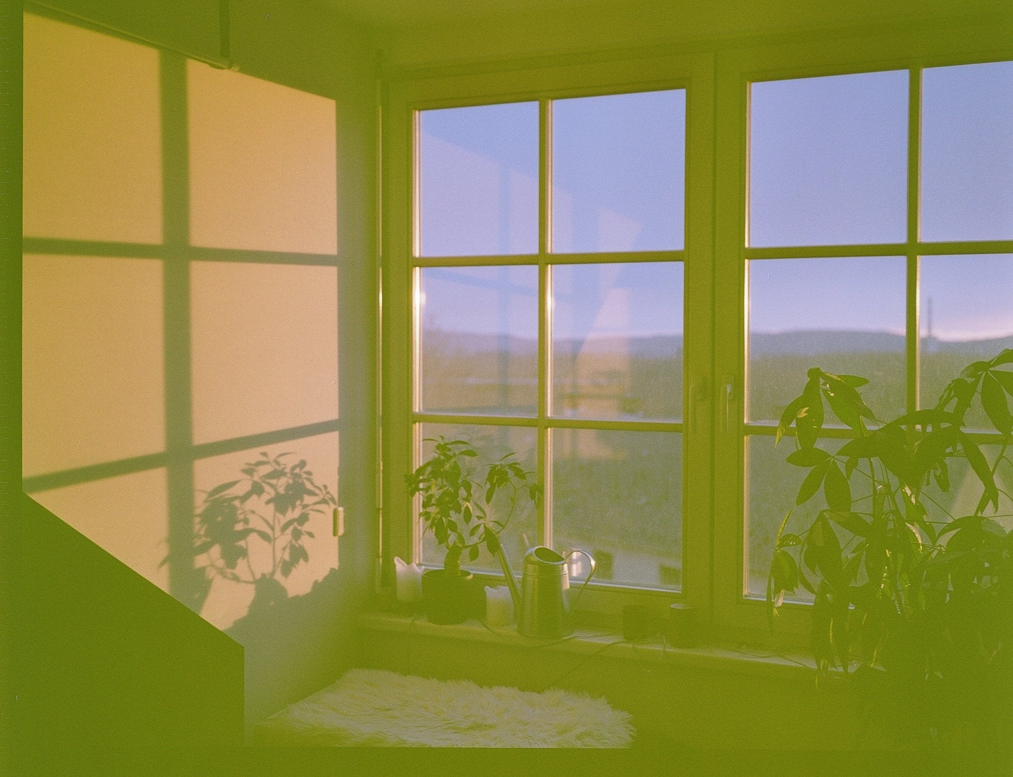 revolog-460nm-120-rollfilm-effektfilm-200-iso image 3