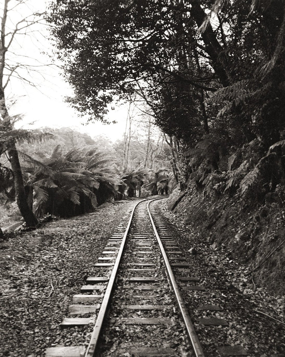 ilford-xp2-super-400-35mm-sw-film-36-aufnahmen-c-41 image 3