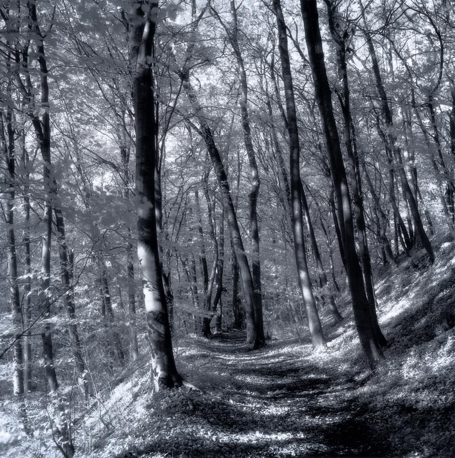 moersch-tanol-eco-film-developer-negativentwickler-feinkorn image 6