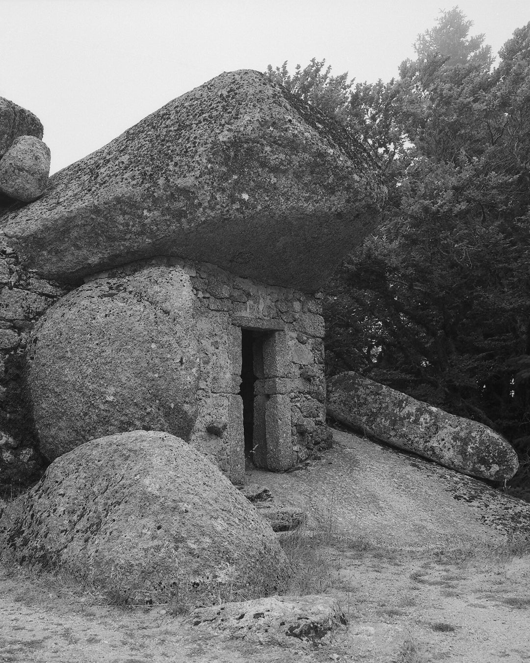 ilford-fp4-plus-125-schwarzwei-film-35mm-36-aufnahmen image 3