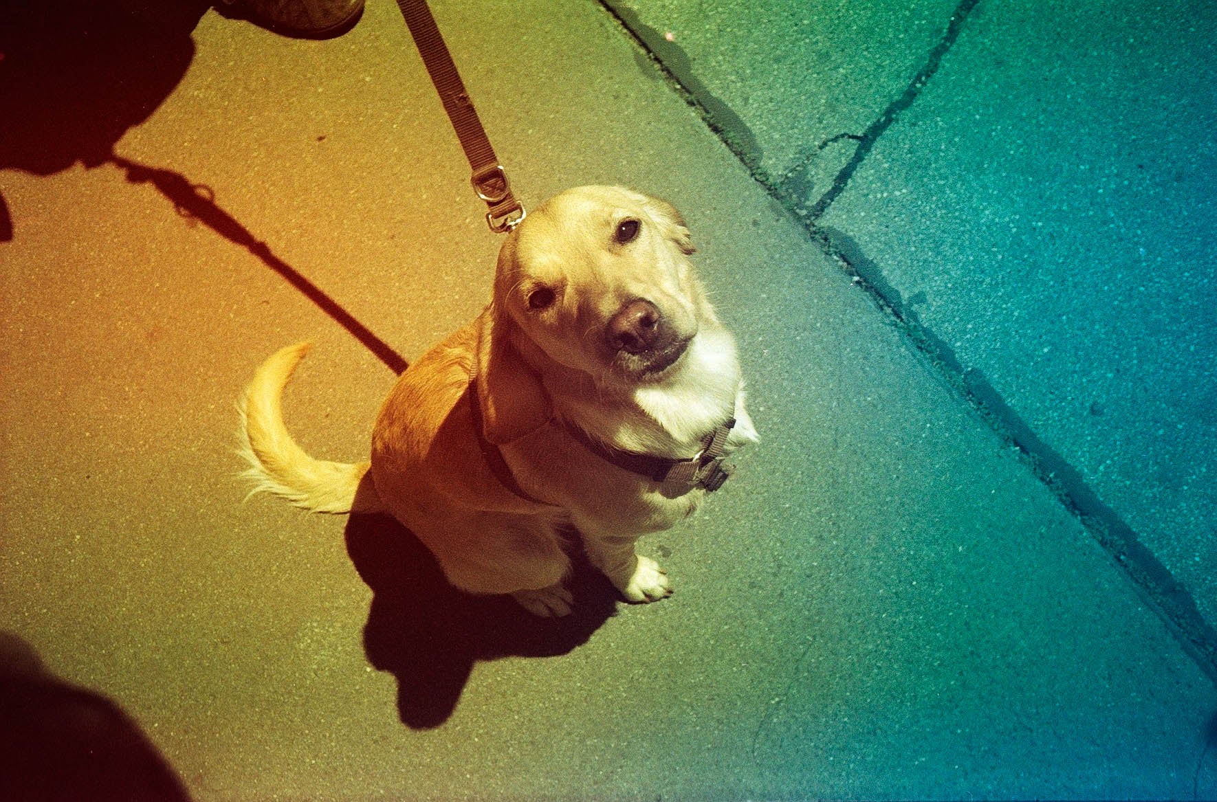 revolog-kolor-35mm-farbfilm-36-aufnahmen-200-iso-effekt image 2
