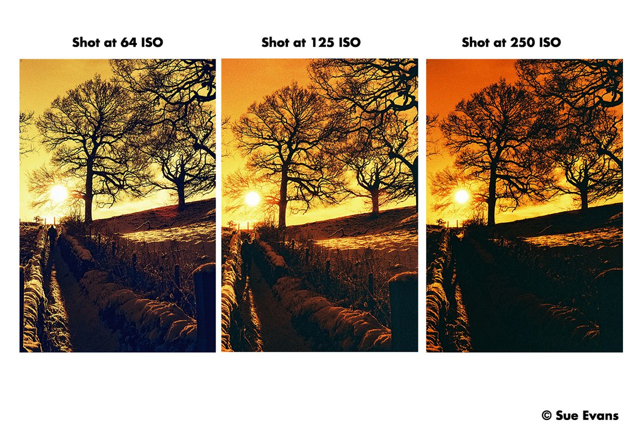 harman-red-125-kleinbildfilm-36-aufn-redscale-rot-effekt image 4