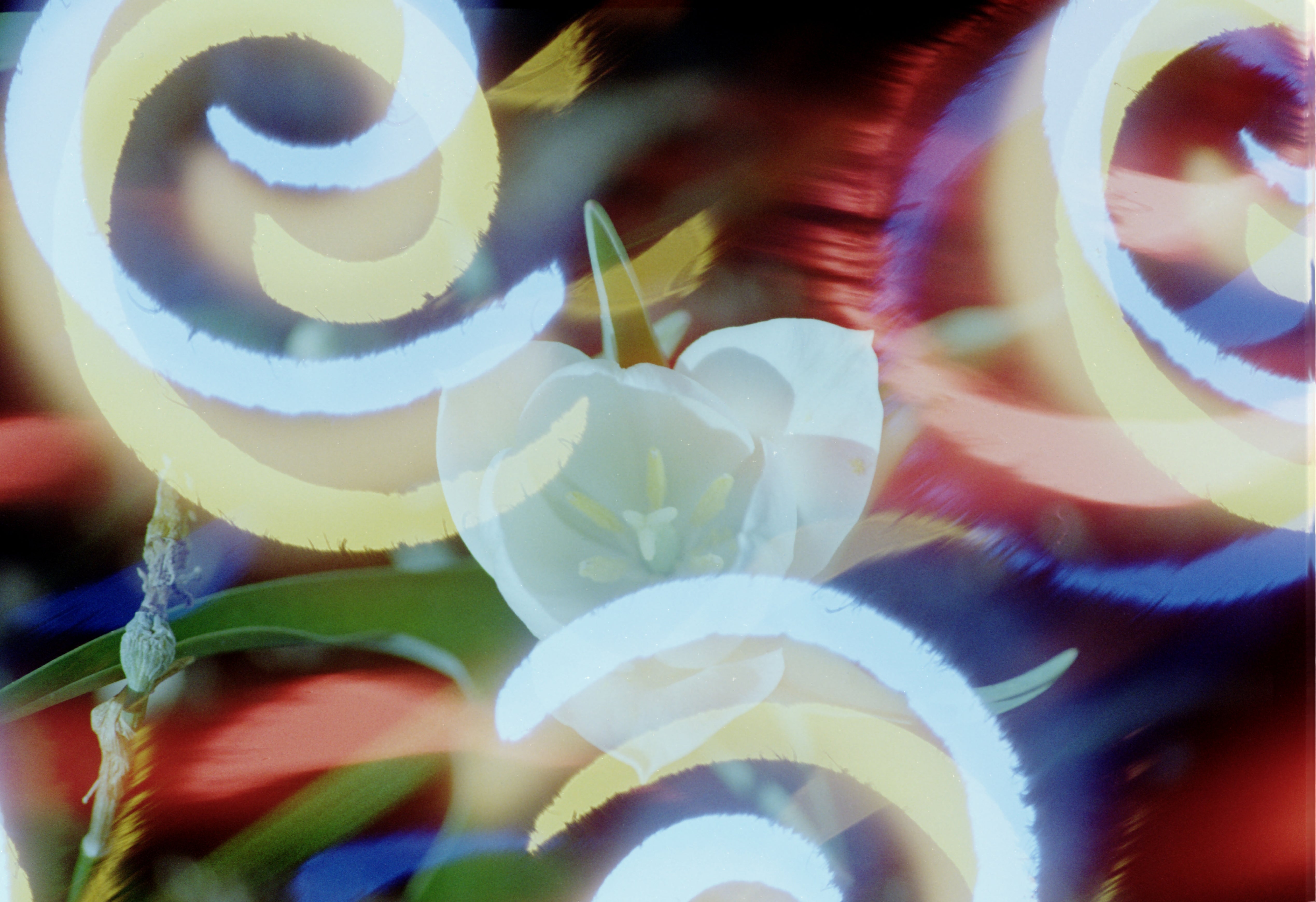 dubblefilm-hanalogital-spirals-35mm-effektfilm-vorbelichtet image 5