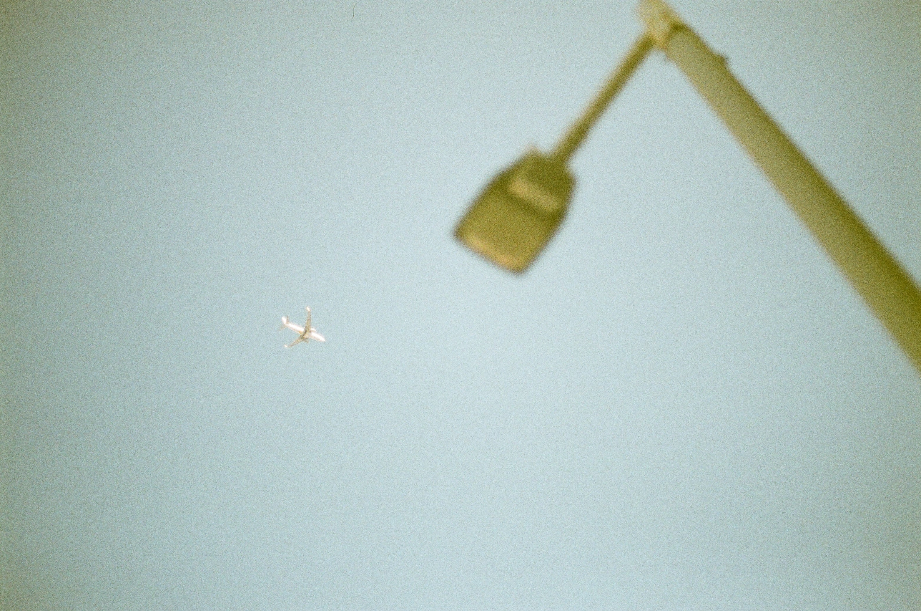 revolog-460nm-effektfilm-35mm-200-iso-36-bilder-violett image 8