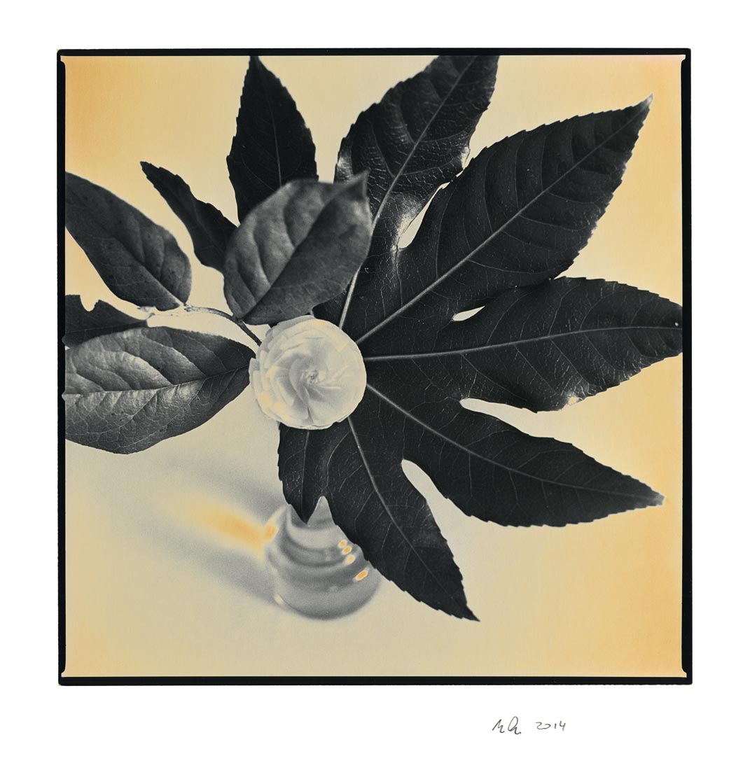 moersch-se-chromoskedasic-sabattier-positiventwickler image 3