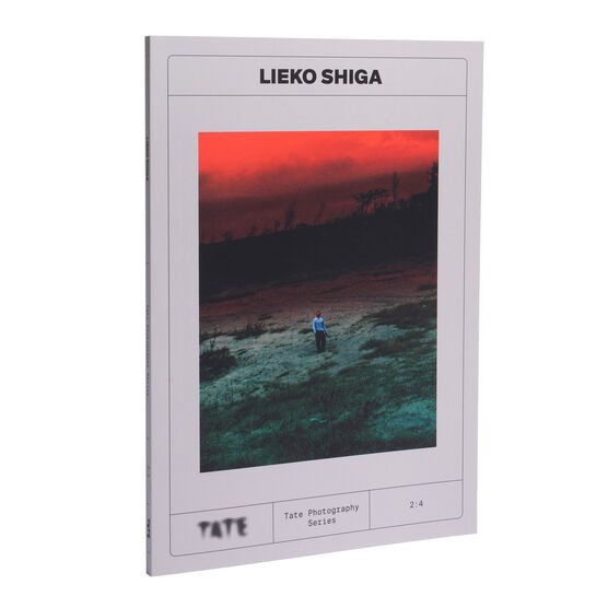 dubblefilm-tate-lieko-shiga-fotobuch-rasen-kaigan-20x14cm image 2