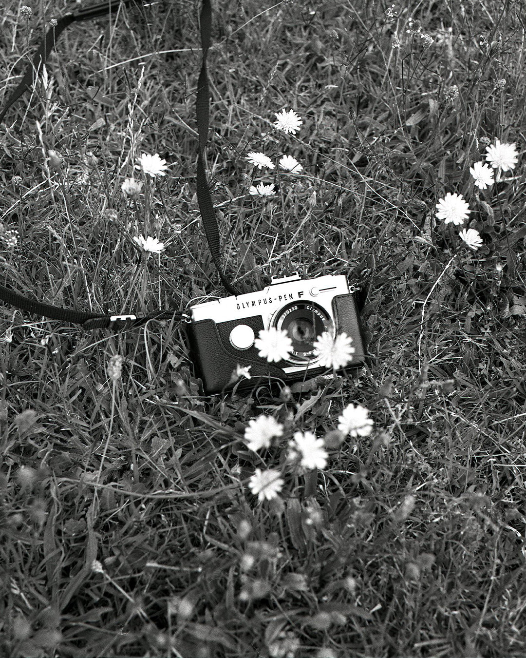 kodak-t-max-400-schwarzwei-film-35mm-36-aufnahmen image 3