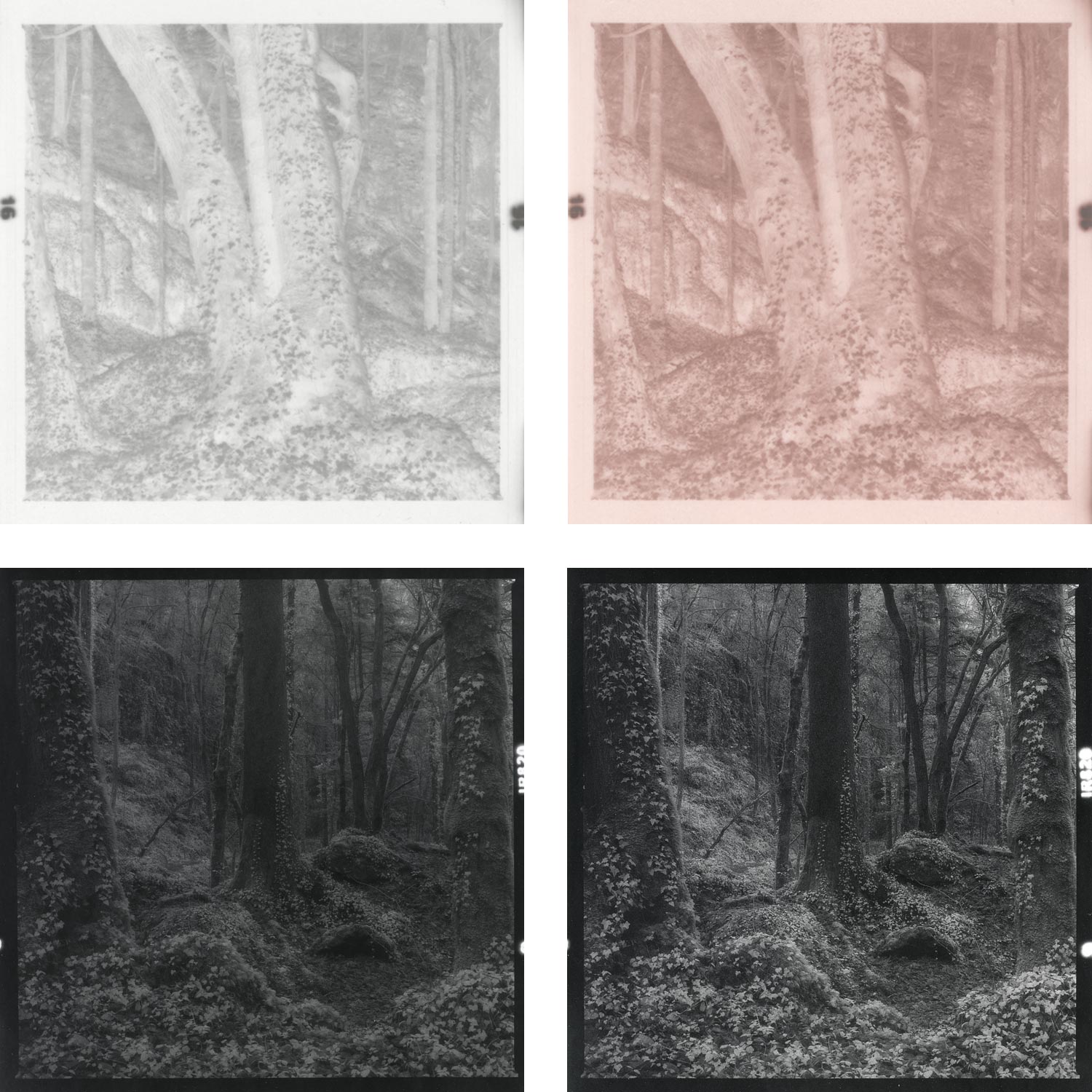 moersch-tanol-kupferverst-rker-negative-spezial-3x100ml-set image 2