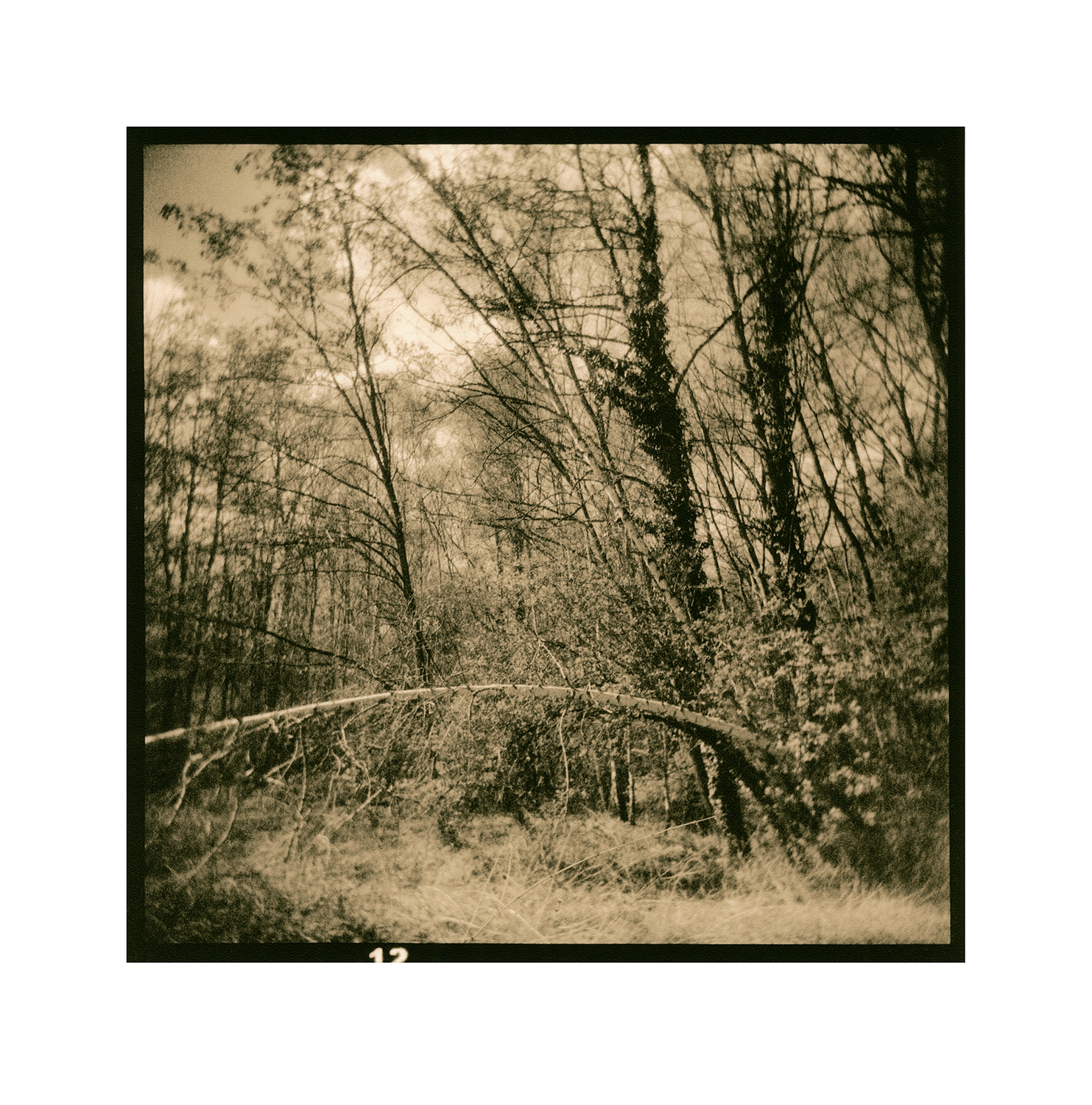 moersch-lith-new-catechol-lithentwickler-kit-brenzkatechin image 8