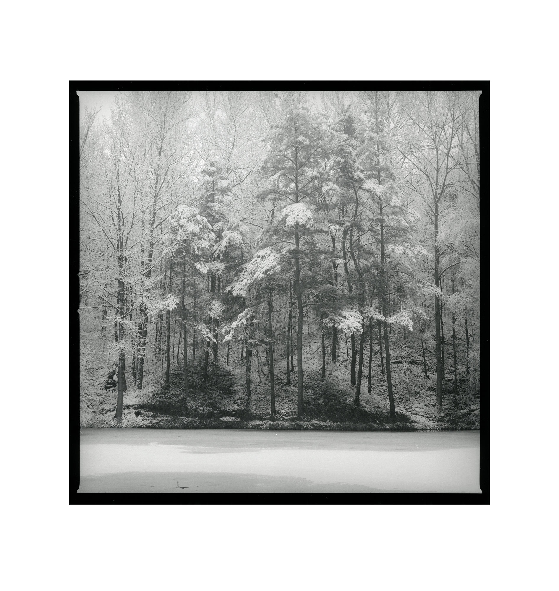 moersch-se-ecomol-papierentwickler-kontrastreich-1l-neutral image 7