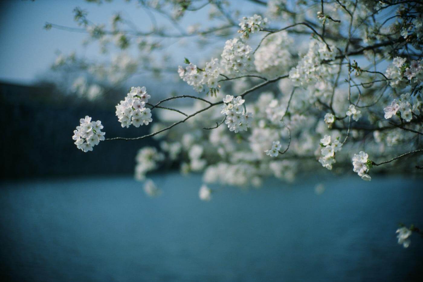 kodak-ektachrome-e100-diafilm-135-36-tageslicht-100-iso image 2