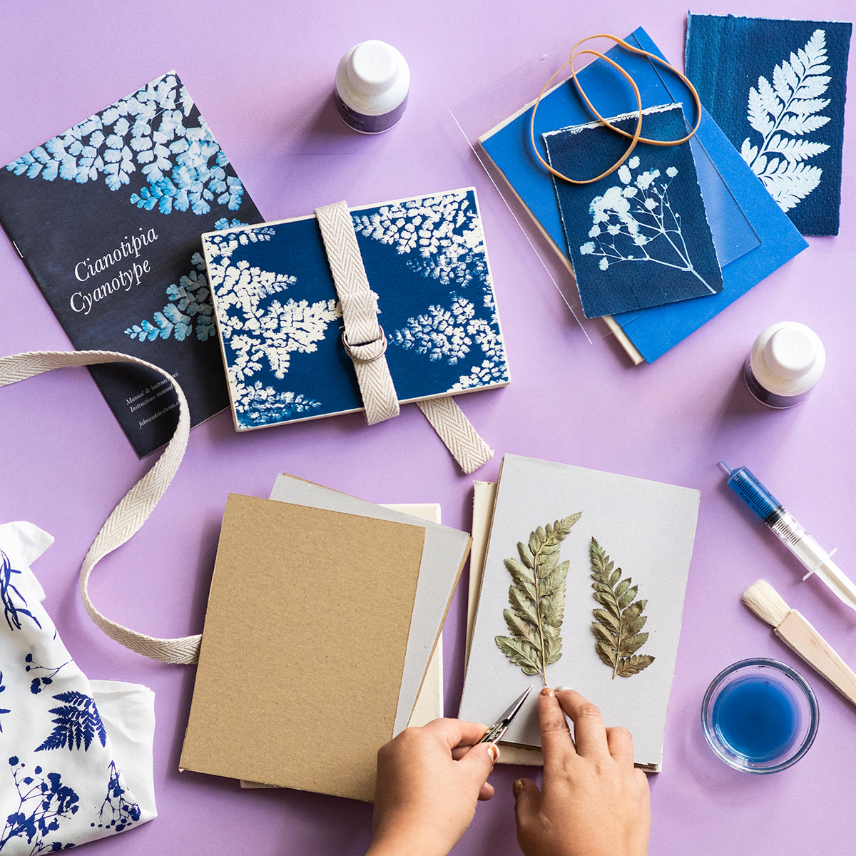 fabrica-de-texturas-botanic-cyanotype-kit-dunkelkammer-set image 2
