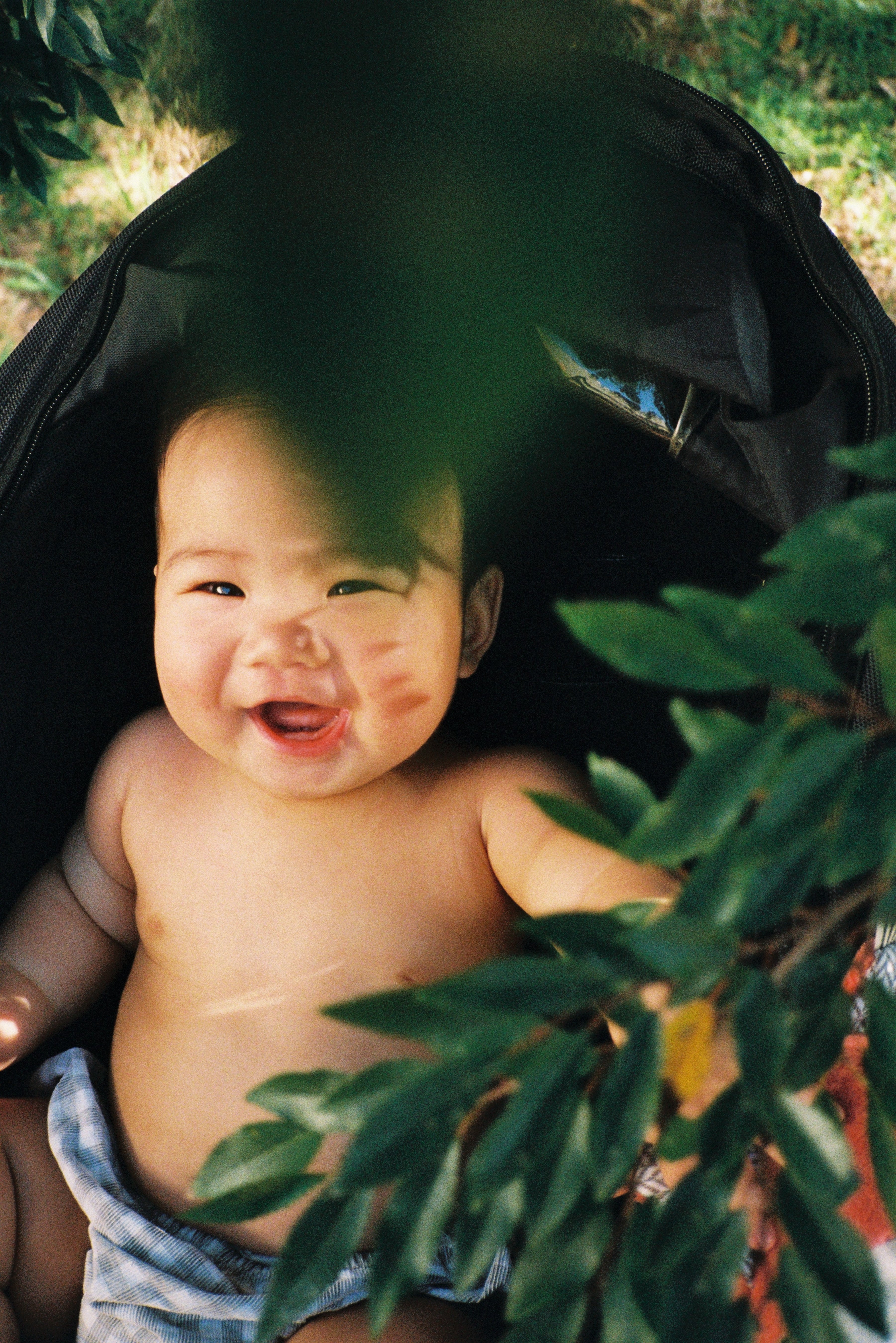 kodak-portra-800-35mm-farbfilm-36-aufnahmen-iso-800 image 5