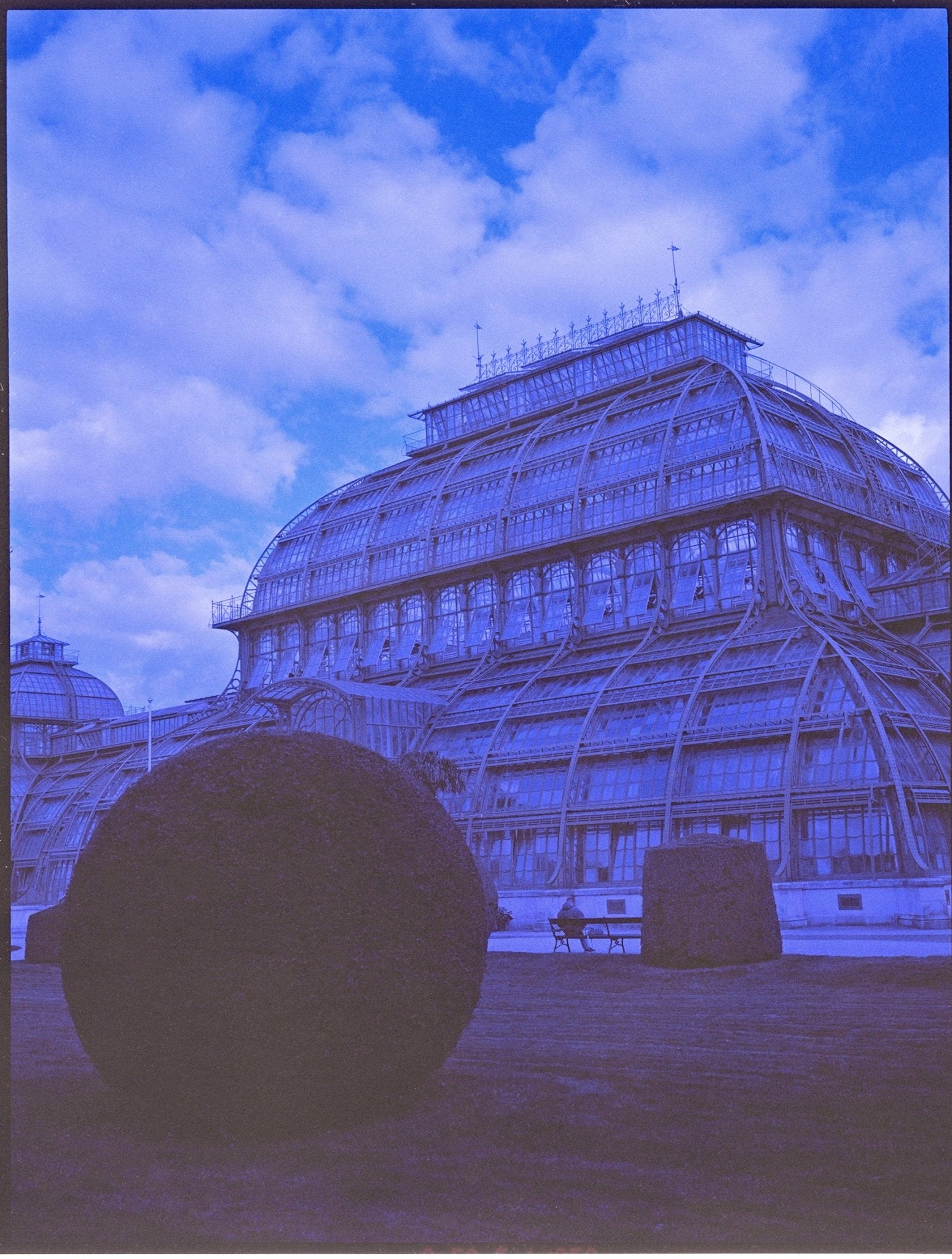 revolog-460nm-120-rollfilm-effektfilm-200-iso image 5