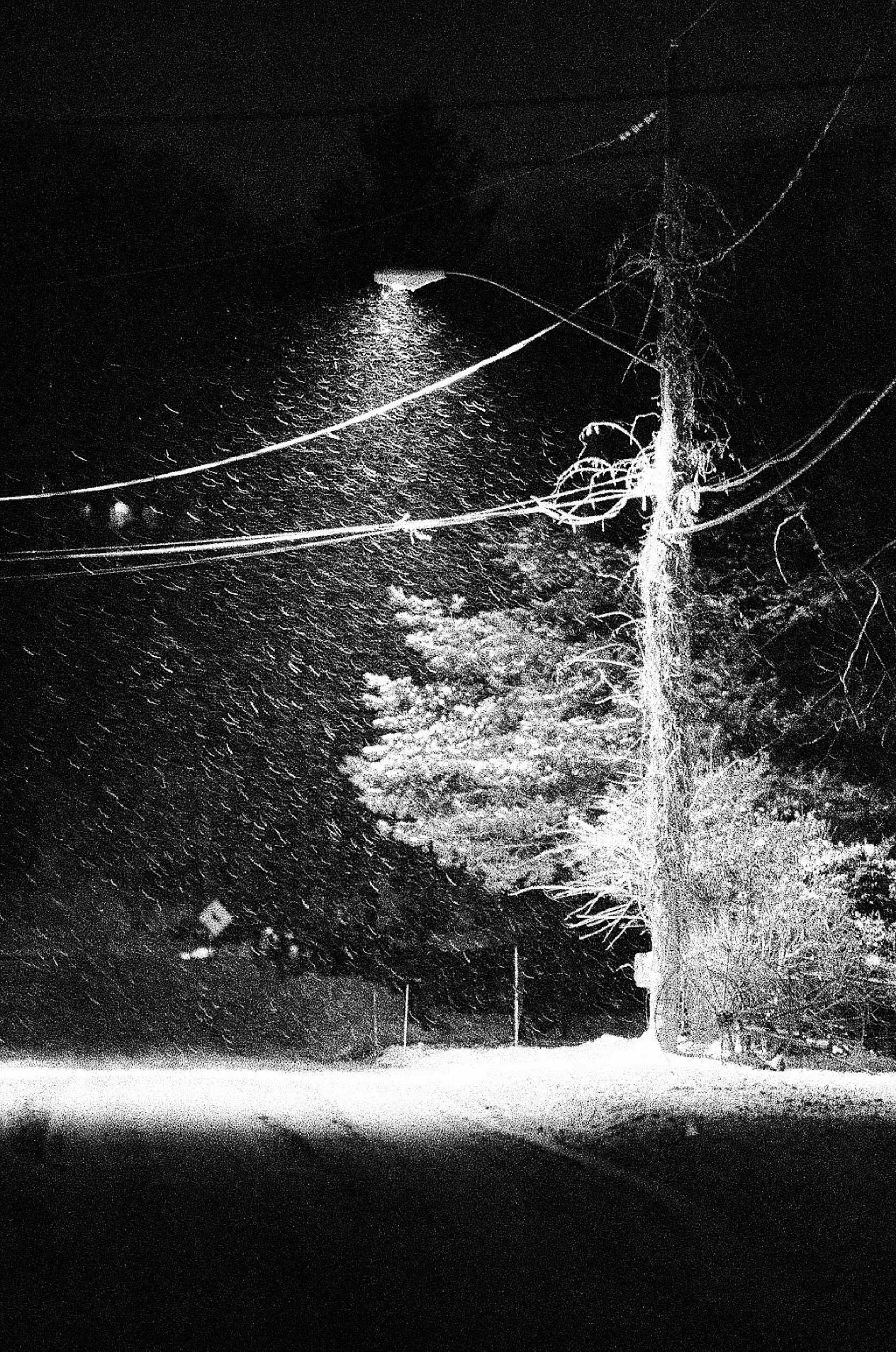 kodak-ektapan-3200-schwarzwei-film-35mm-high-iso-push image 3