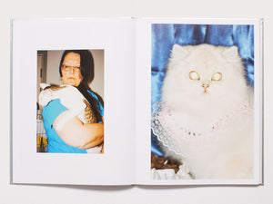 dubblefilm-the-best-cat-in-the-world-buch-hardcover-katzen image 6