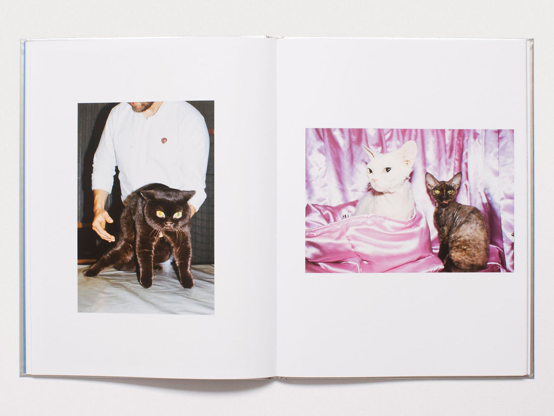 dubblefilm-the-best-cat-in-the-world-buch-hardcover-katzen image 2