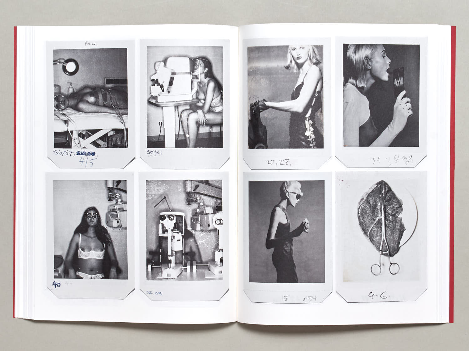 donna-trope-polaroids-fotobuch-beauty-portraits-bildband image 3