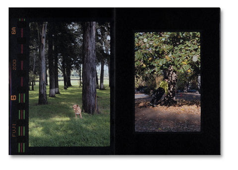 dubblefilm-books-small-death-martha-naranjo-sandoval-fotobuch image 6