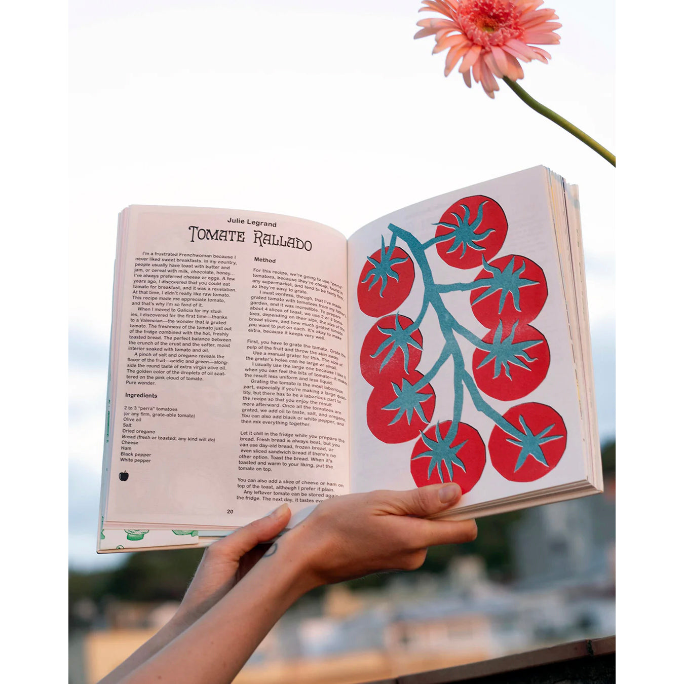 dubblefilm-jumbo-press-illustrators-cookbook-2-kochbuch-vegan image 3