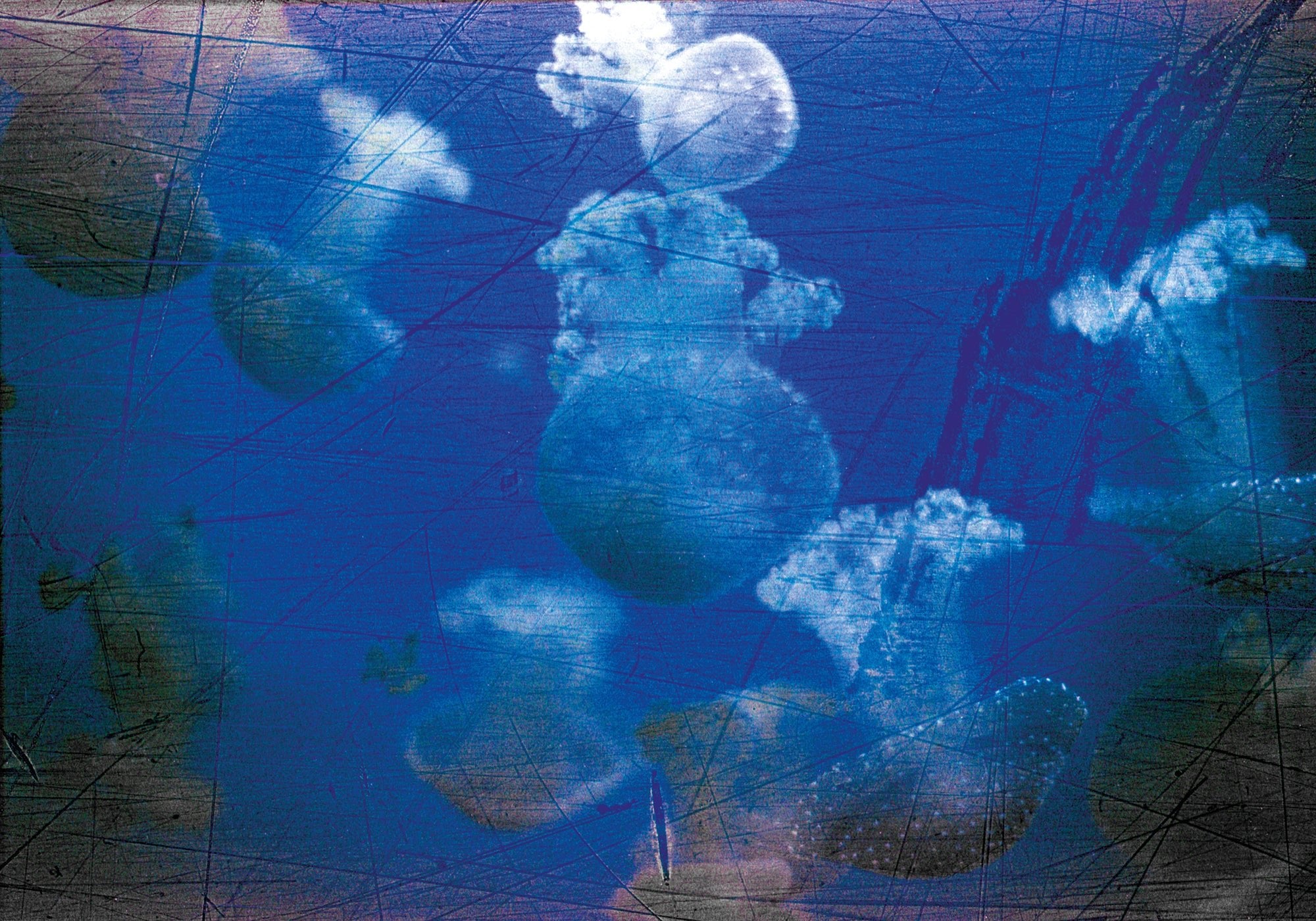 revolog-streak-35mm-farbfilm-200-iso-36-effekt-vintage image 4
