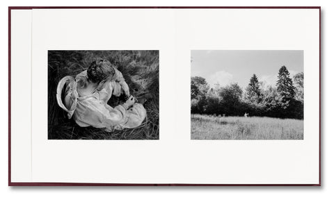 yorgos-lanthimos-viscin-fotobuch-leporello-hardcover-54-seiten image 3