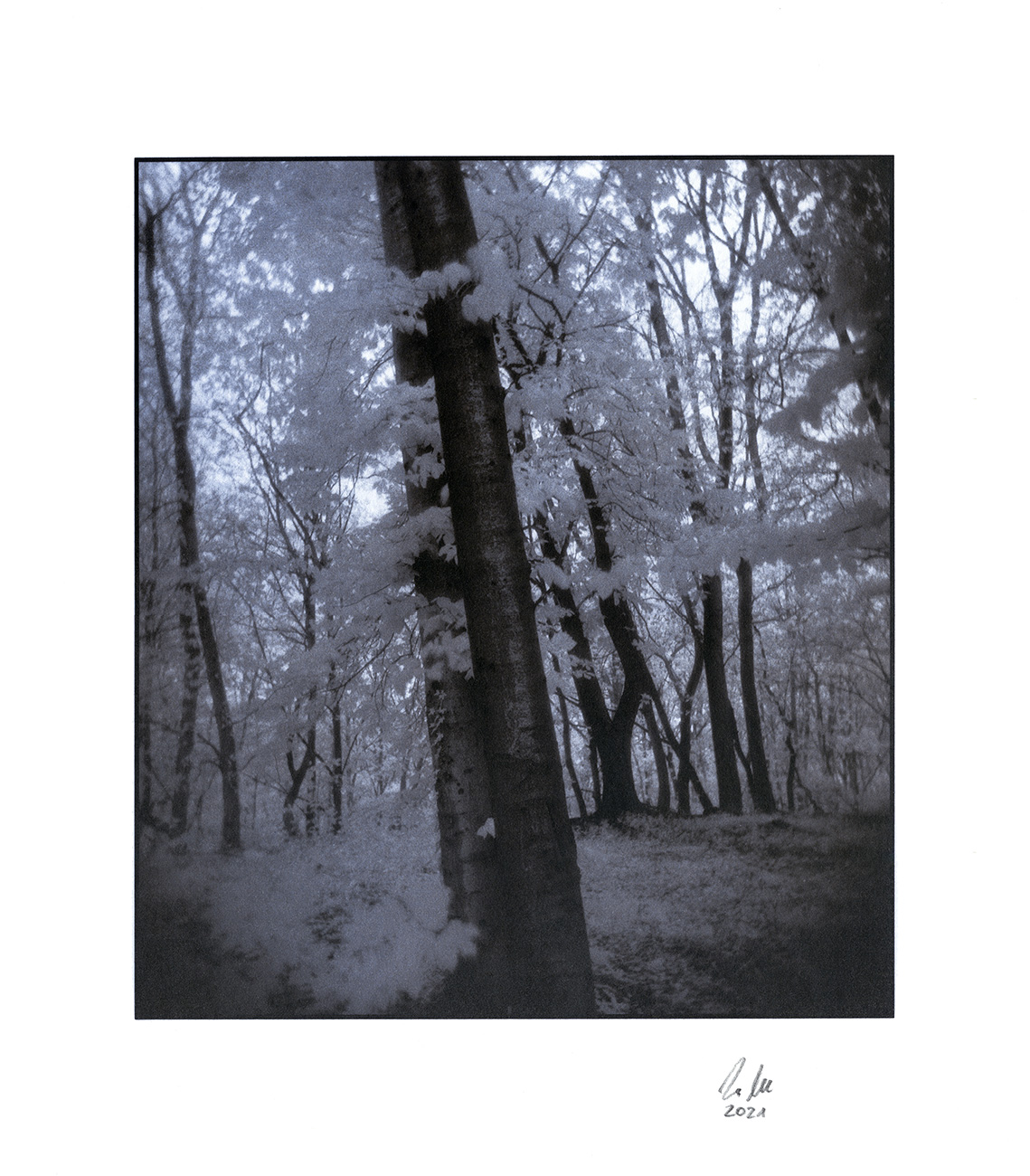 moersch-tanol-eco-film-developer-negativentwickler-feinkorn image 3