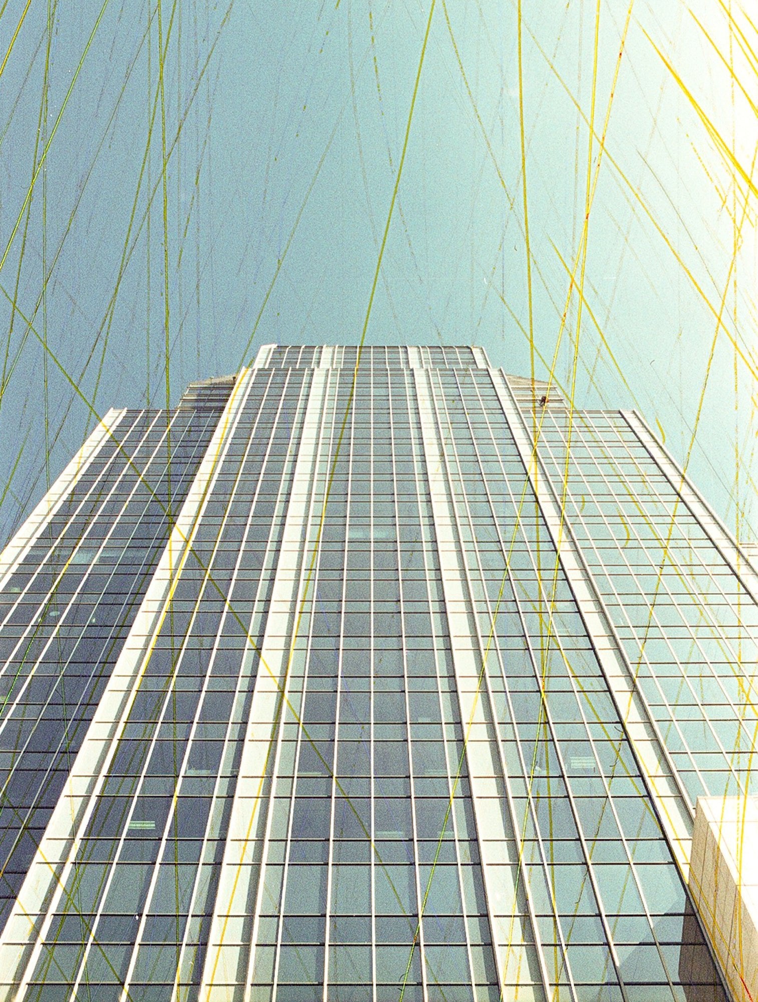 revolog-rasp-35mm-farbfilm-200-iso-36-bilder-linien-effekt image 5