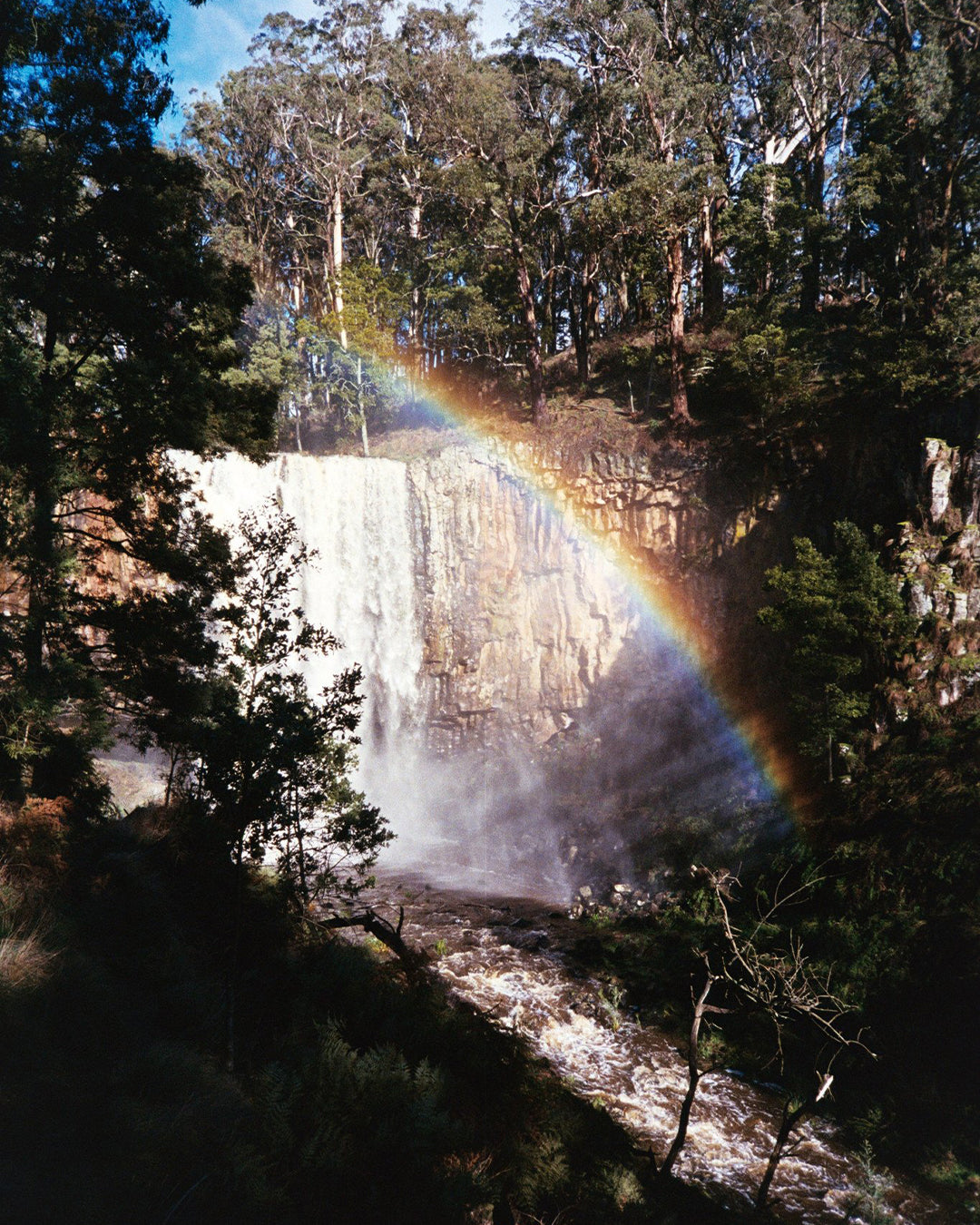 kodak-ultramax-400-farbfilm-35mm-36-bilder-iso-400 image 6