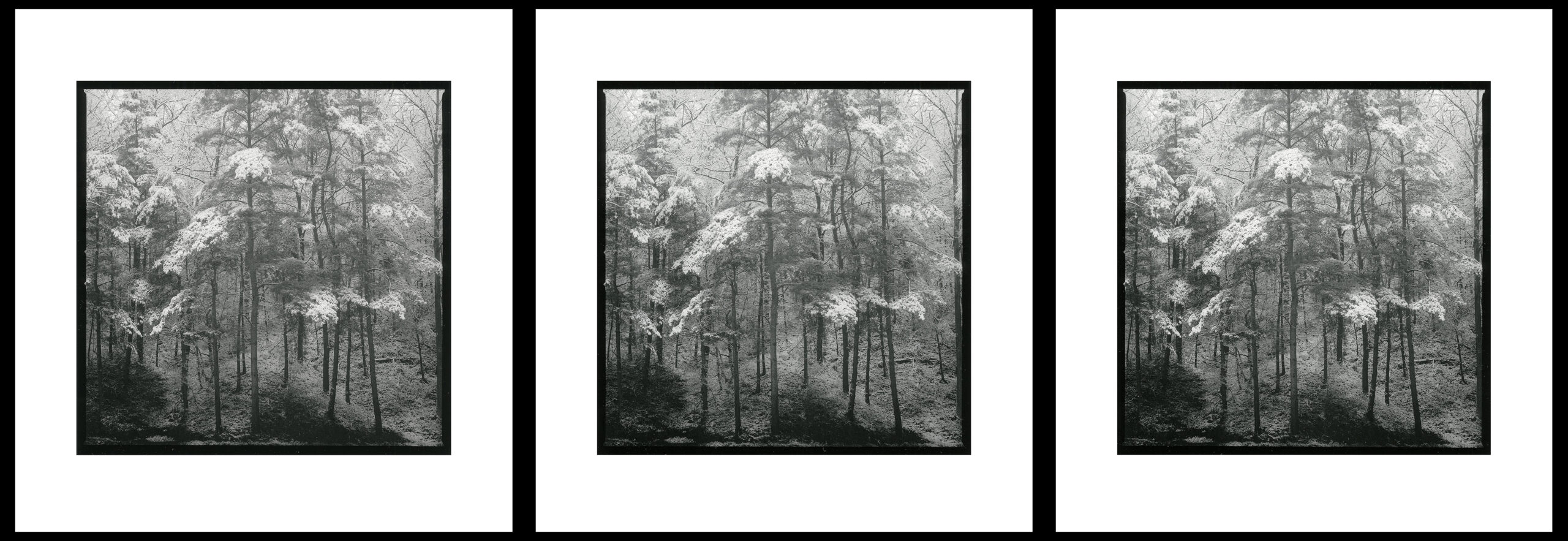 moersch-se-ecomol-papierentwickler-kontrastreich-1l-neutral image 4