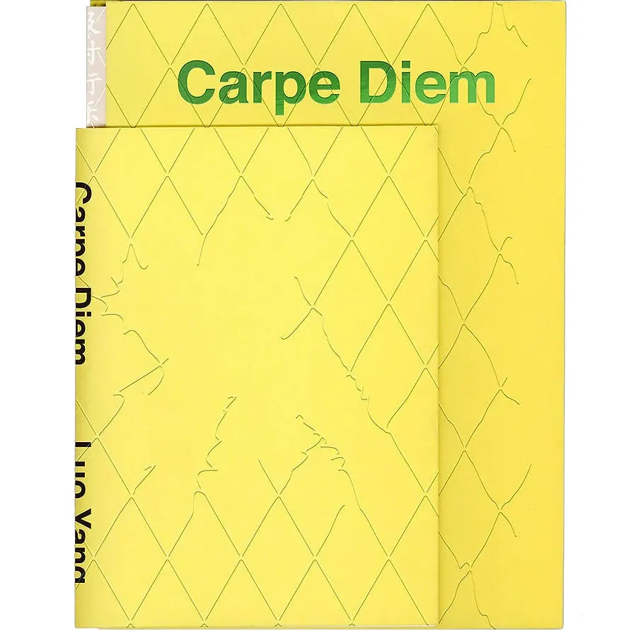 dubblefilm-books-carpe-diem-luo-yang-fotobuch-portr-ts-generation-z image 1