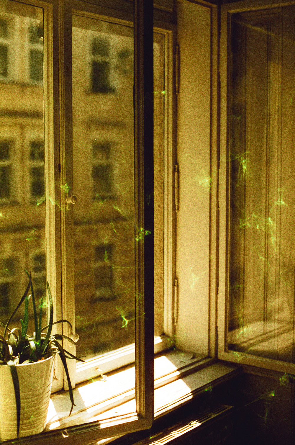 revolog-emerald-effektfilm-35mm-200-iso-c-41-limitiert image 4