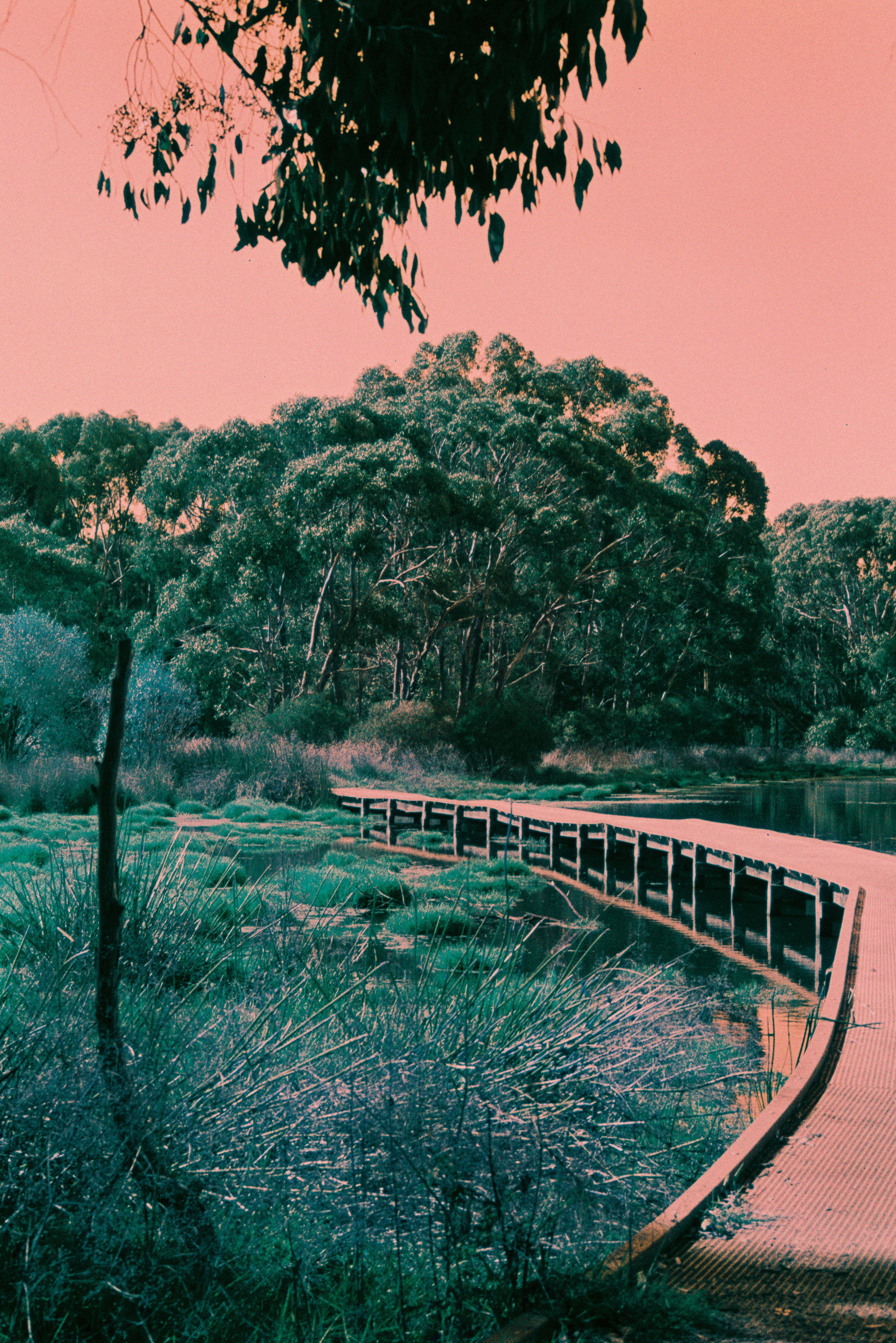 harman-switch-azure-125-35mm-effektfilm-36-aufn-c-41 image 5