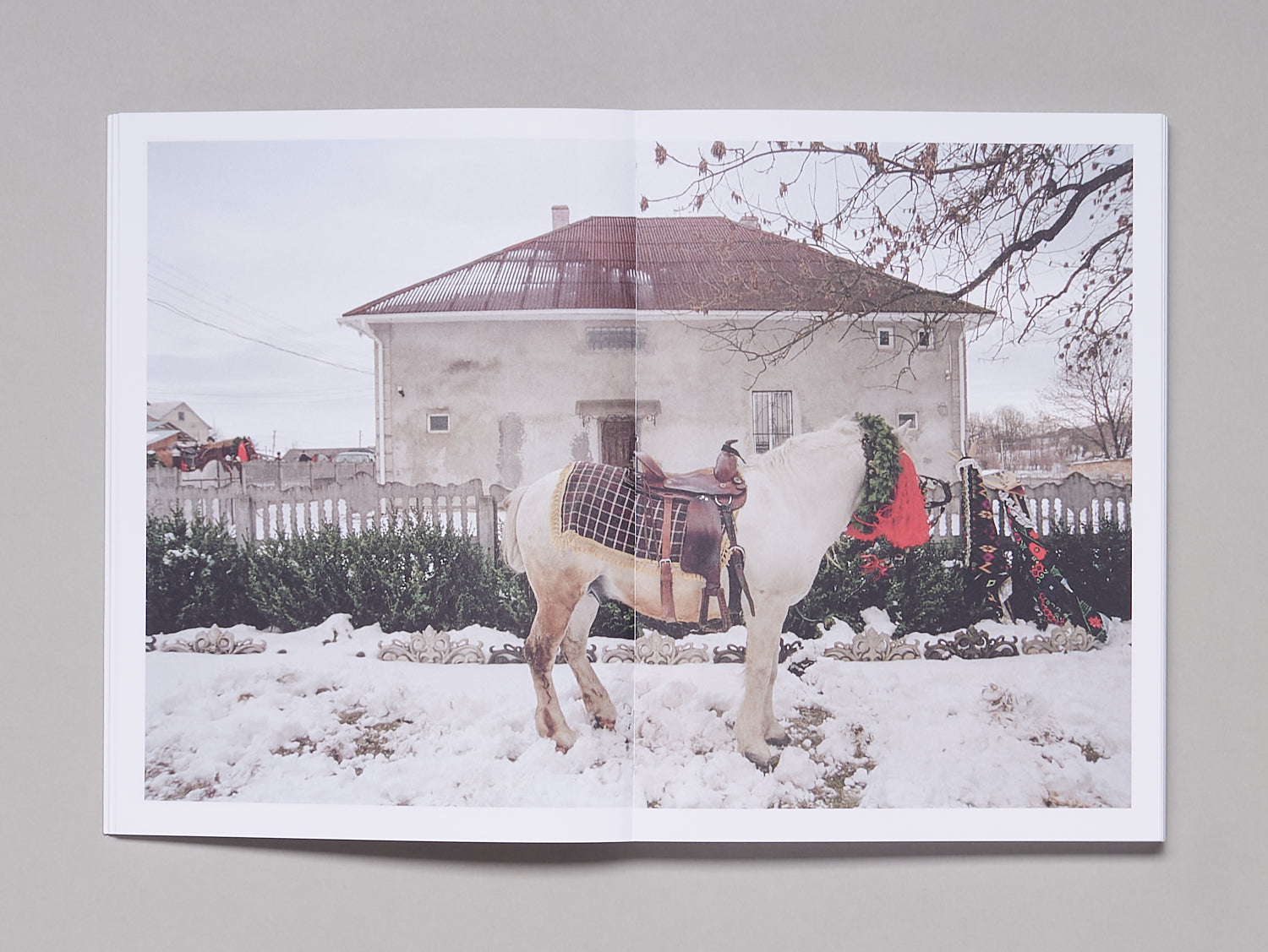 yelena-yemchuk-malanka-fotobuch-bildband-ukraine-ritual image 7