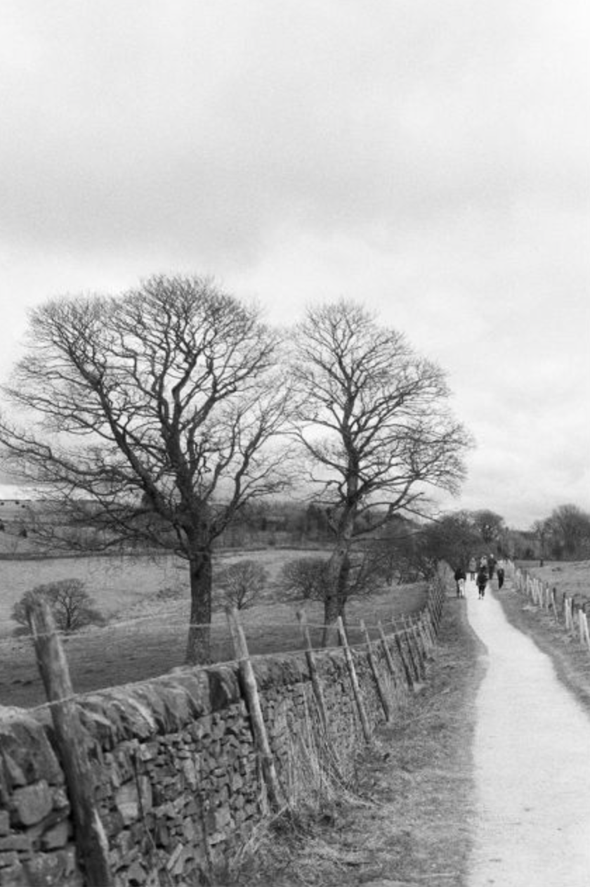 kentmere-pan-200-35mm-schwarzwei-film-iso-200 image 3