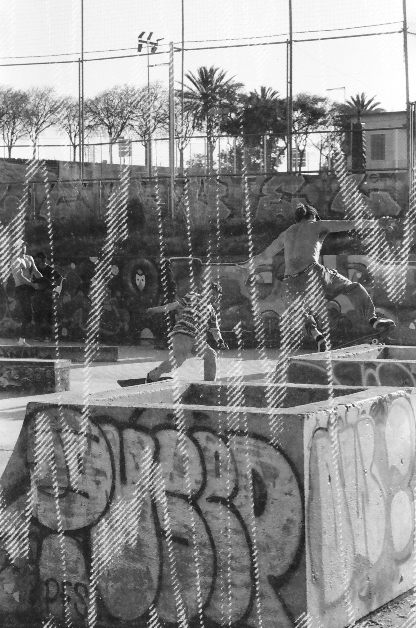dubblefilm-glitch-schwarzwei-film-35mm-200-iso-36-bilder image 2