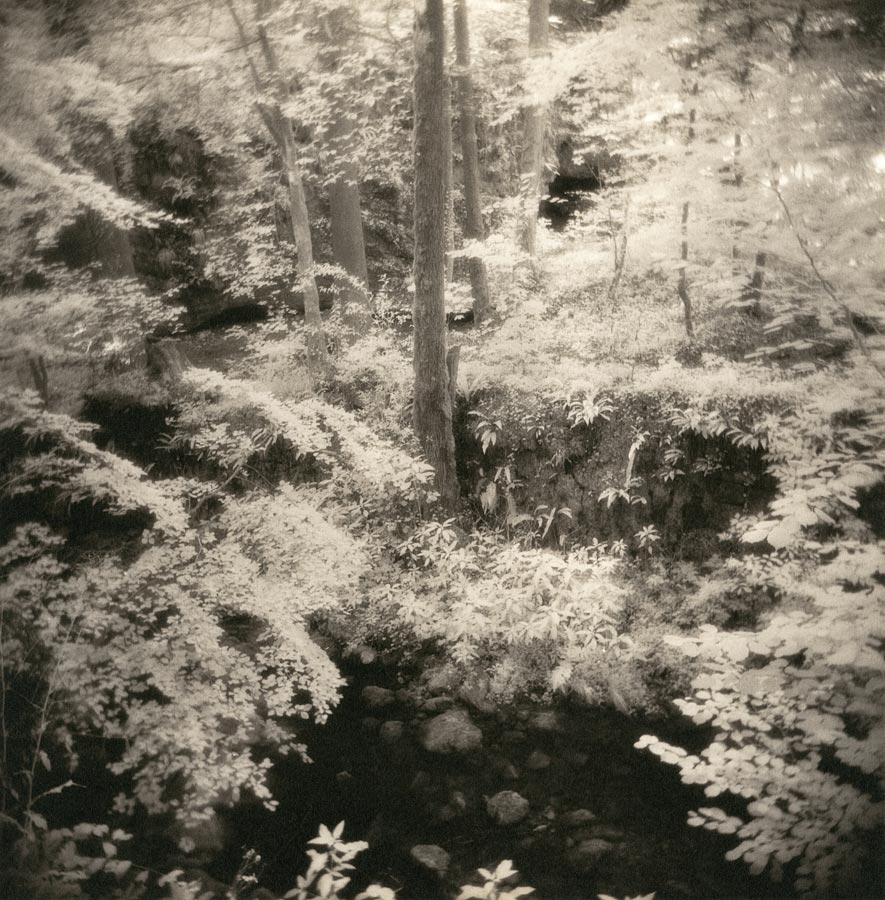 moersch-tanol-eco-film-developer-negativentwickler-feinkorn image 8