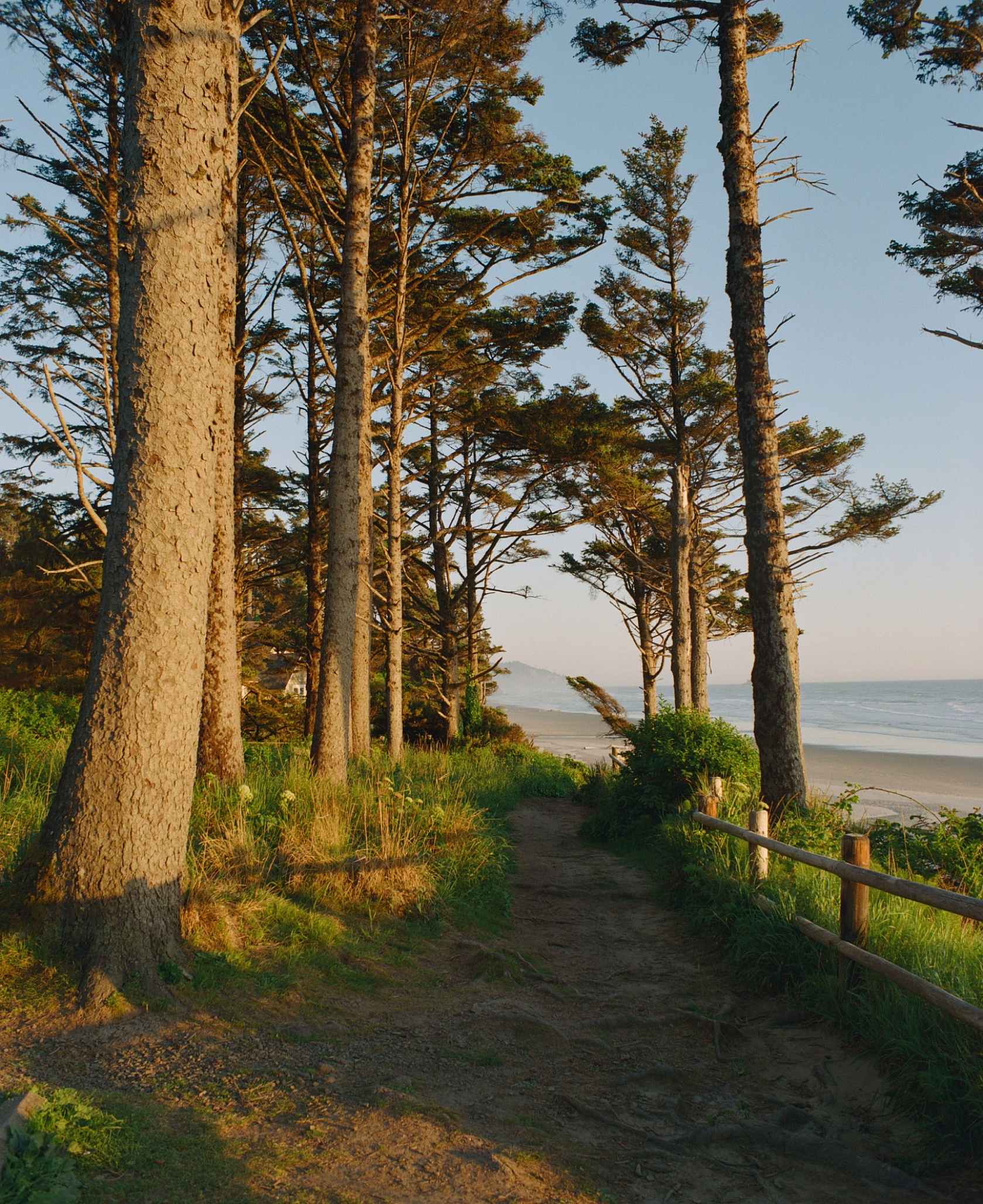 kodak-ektacolor-pro-800-35mm-farbfilm-iso-800-portra image 3